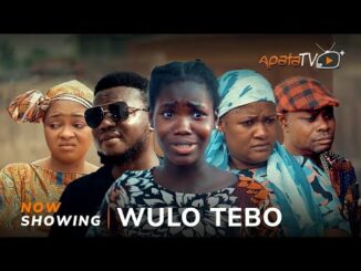 Download Wulo Tebo (2024) Latest Yoruba Movie