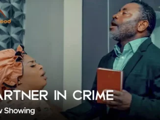 Download Partner In Crime (2024 Yoruba Movie)